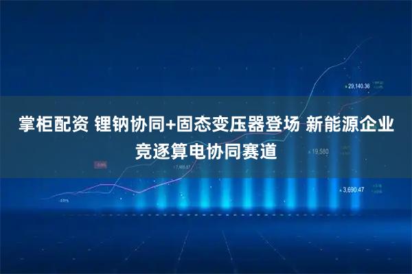 掌柜配资 锂钠协同+固态变压器登场 新能源企业竞逐算电协同赛道