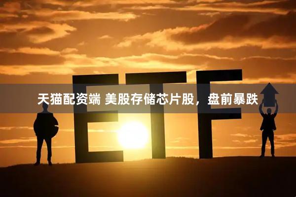 天猫配资端 美股存储芯片股，盘前暴跌